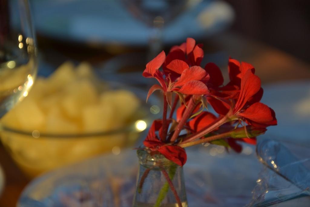 טרקיניה Podere Del Gesso מראה חיצוני תמונה