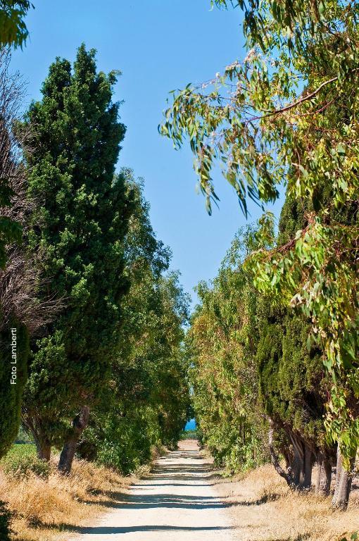 טרקיניה Podere Del Gesso מראה חיצוני תמונה